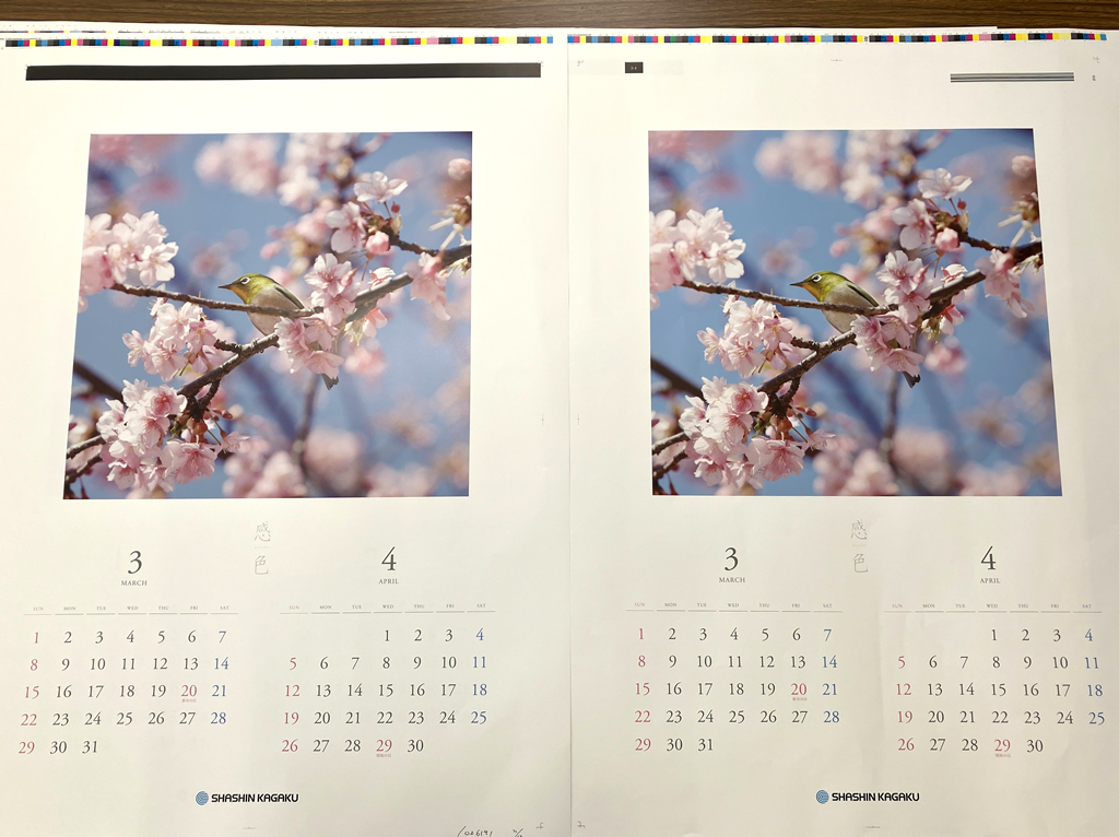 左が初校、右が修正版。写真全体の赤浮きを抑え、鮮やかさを引き出す調整を行っています。