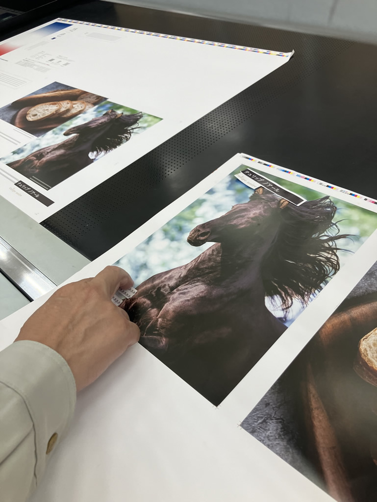 赤いキノコ(ベニテングダケ)